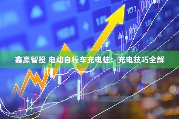 鑫赢智投 电动自行车充电桩：充电技巧全解